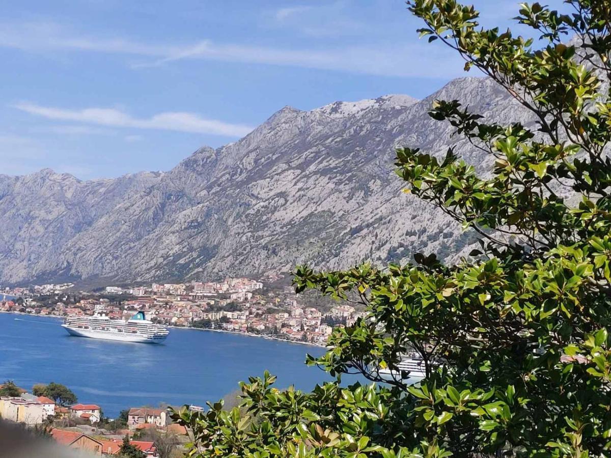 Vila Casa Vecchia Kotor Exteriér fotografie